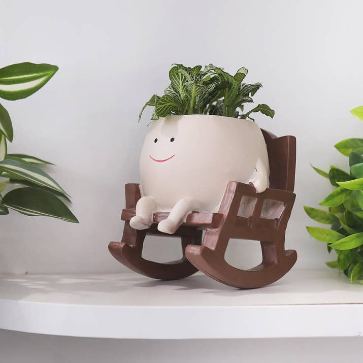 Cute Smiley Face Rocking Chair Plant
