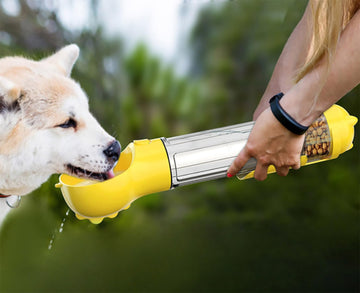 "Transform Outings Into Unforgettable Adventures Together"